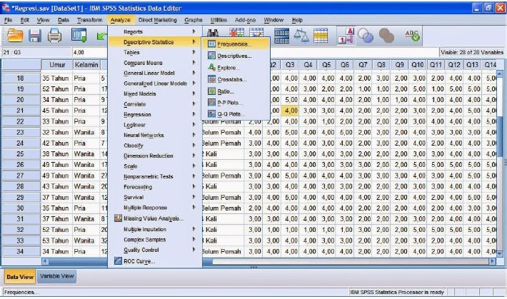 tutorial spss 21 indonesia